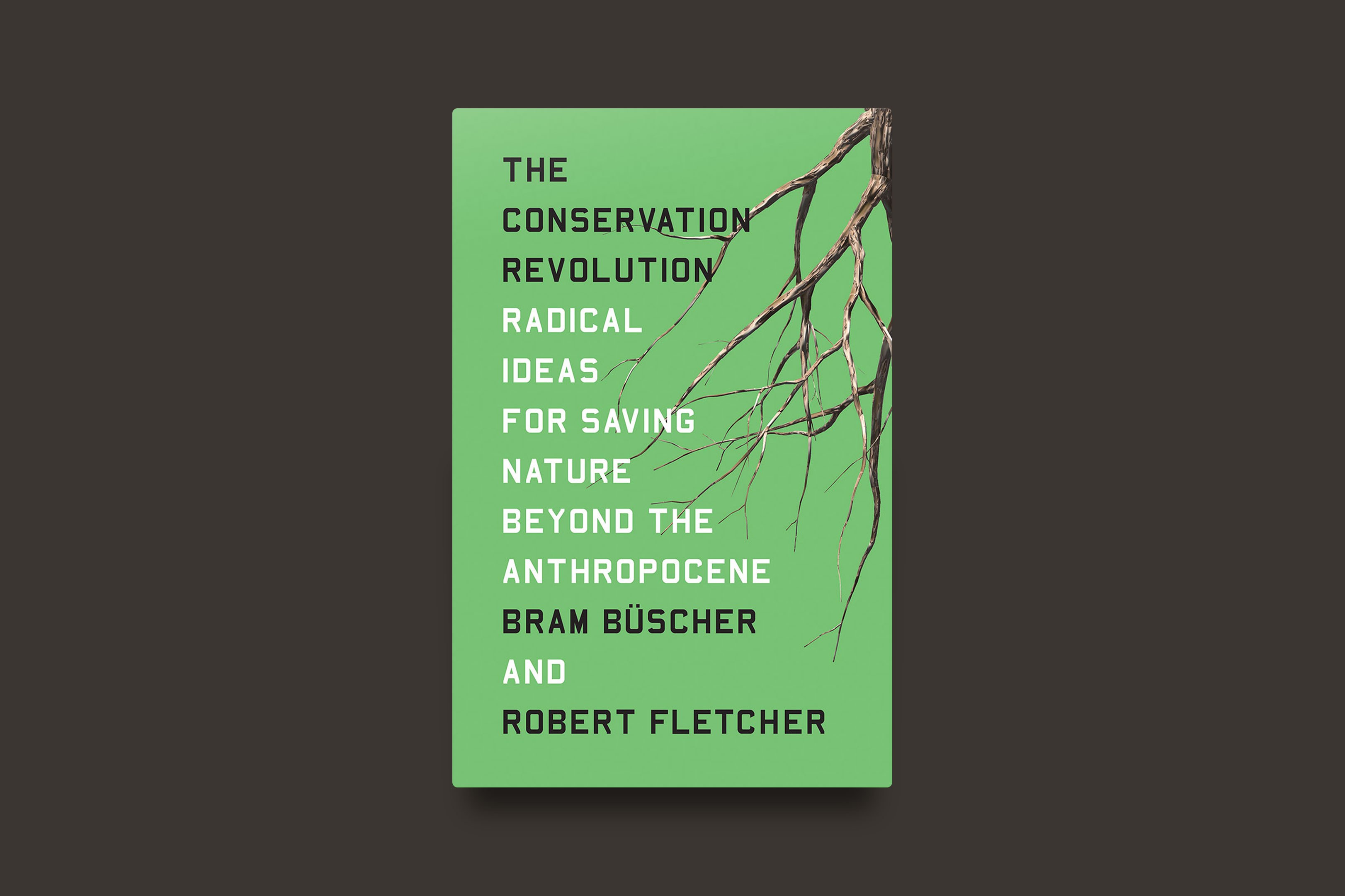 Bram Buscher And Robert Fletcher S The Conservation Revolution Bomb Magazine