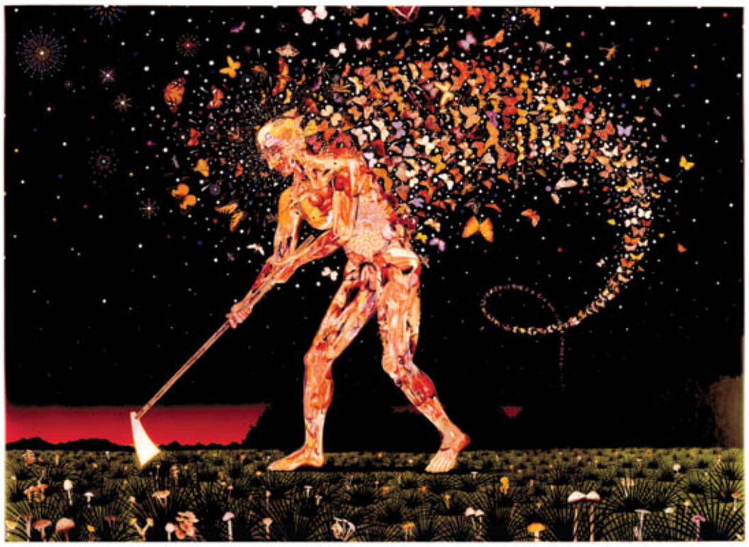 Fred Tomaselli BOMB Magazine