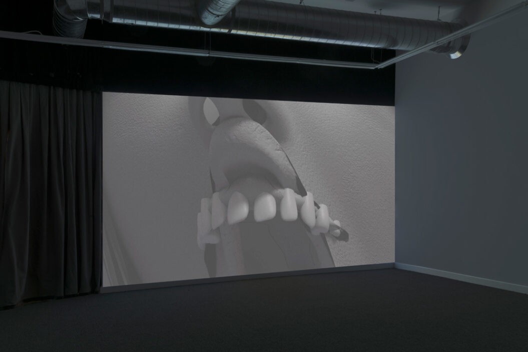 Andrew Norman Wilson, KODAK, 2018. Installation view at DOCUMENT, Chicago