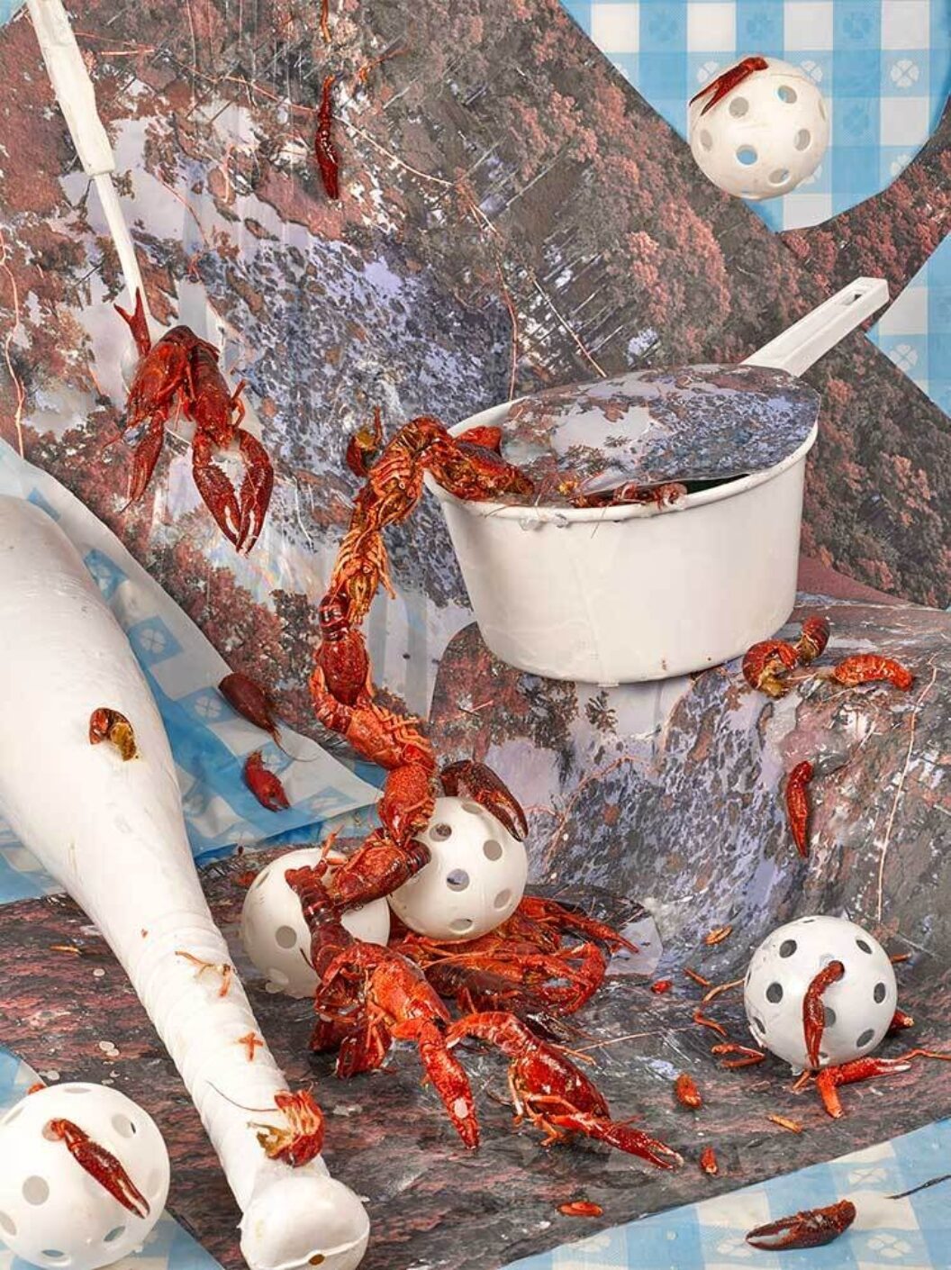 a collage featuring lobsters a white pot and whiffle balls and a bat titled, ​Bayou Choctaw Sweet, Sheida Soleimani