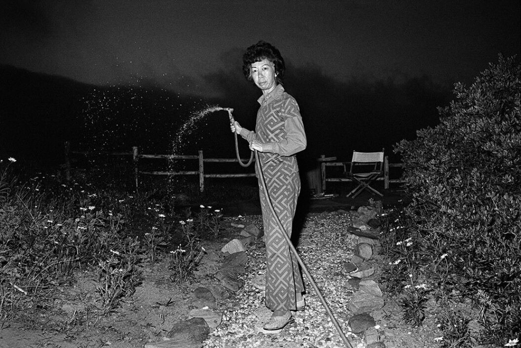 Michael Jang The Jangs Lucy Watering At Night Hires