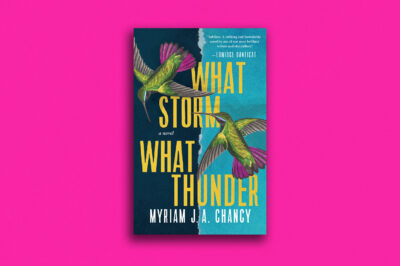 Cover art for Myriam J A Chancy's What Storm What Thunder