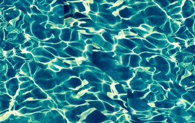 Annie Dewitt Banner
