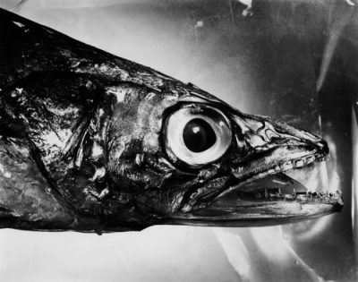 Berenice Abbott 1