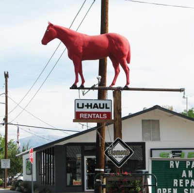 Pink Horse Body