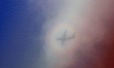 Romain Gary Banner