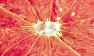 Tran Orange Banner